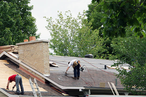 Best Roof Gutter Cleaning  in Meadow Woods, FL